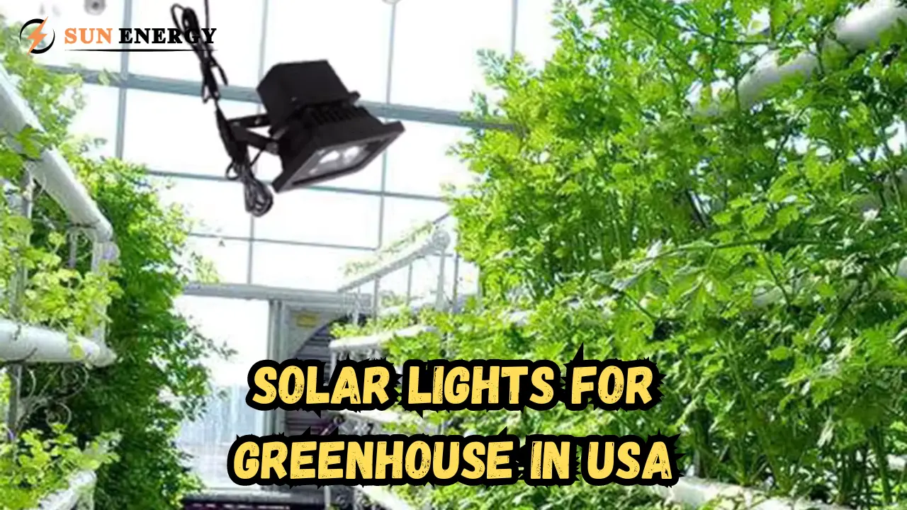 Future Trends in Solar Light for Greenhouses in USA