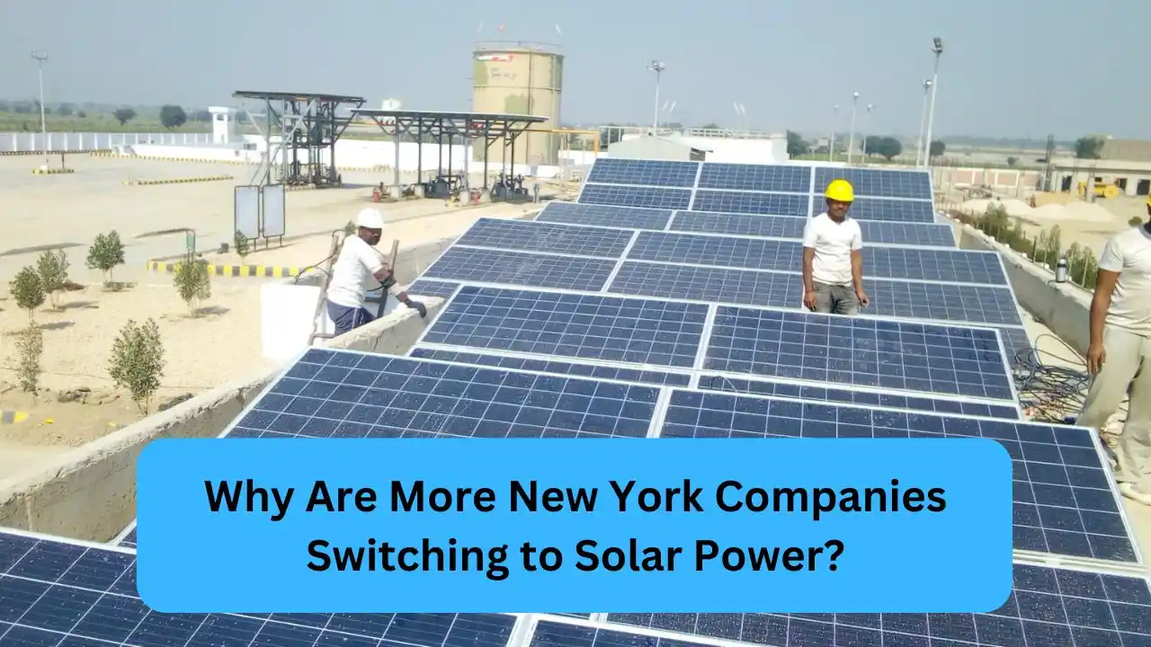 Why Are More New York Companies Switching to Solar Power