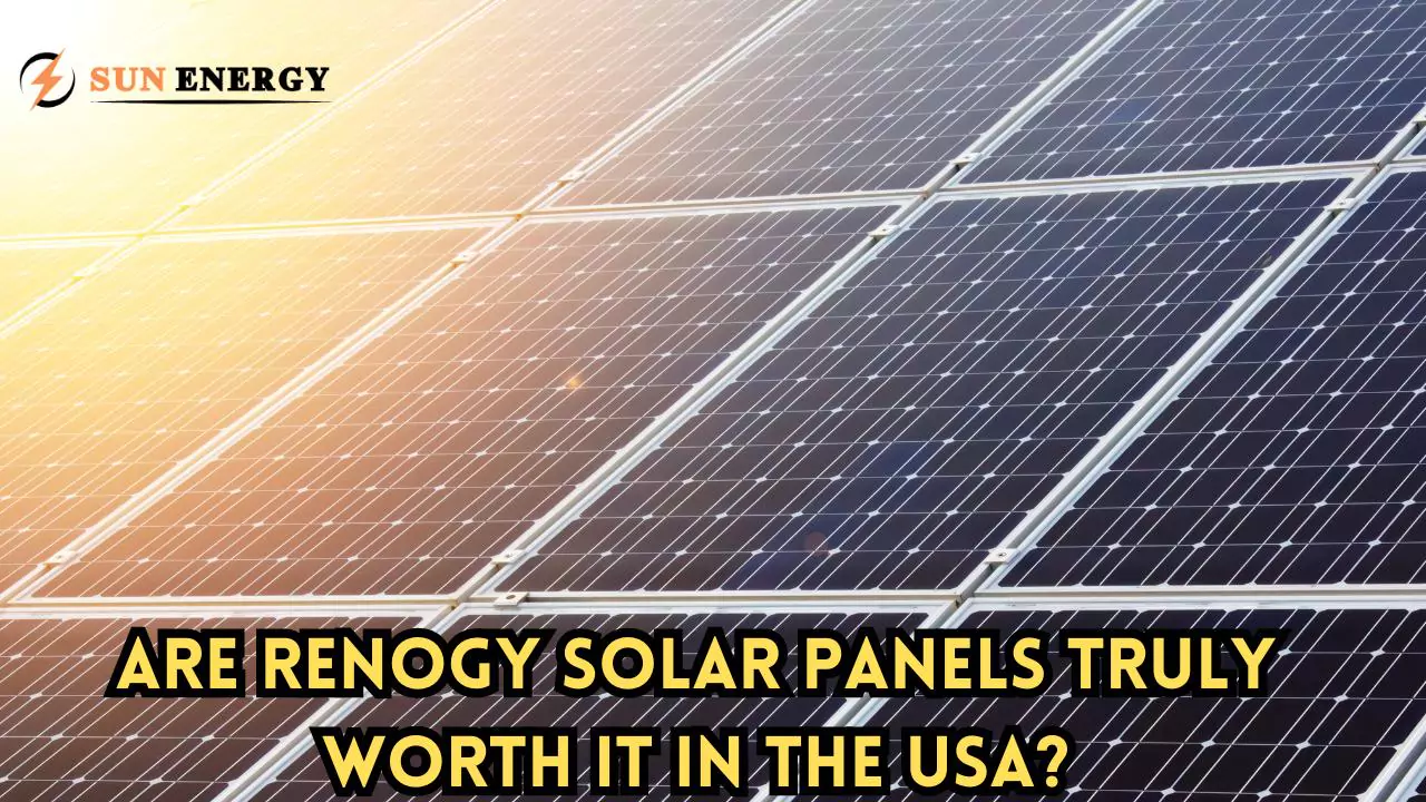 Are Renogy Solar Panels Truly Worth It in the USA