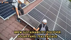 Brew Sustainability: Discover Solar Panel Teas Passage