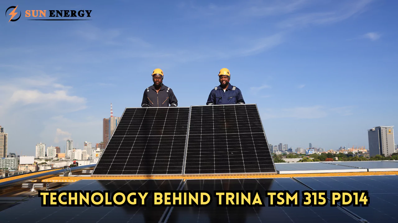 Discover the Power of Trina TSM 315 PD14 Solar Panels